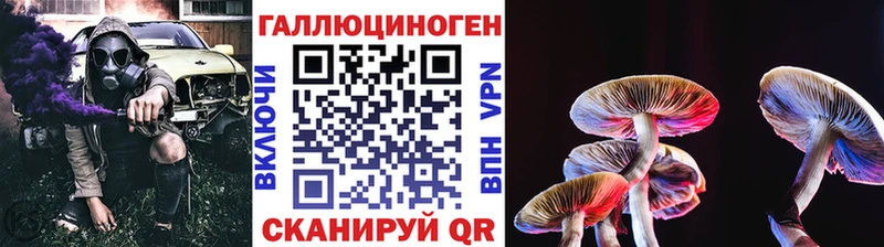 Галлюциногенные грибы Psilocybe  Купить  Игарка 