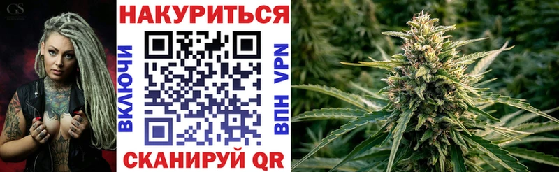 Купить закладки Игарка Канабис сатива